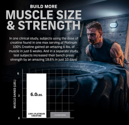 Creatine Monohydrate Powder | MuscleTech